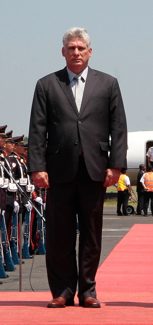 Díaz-Canel posing on a red carpet with a plane in the background