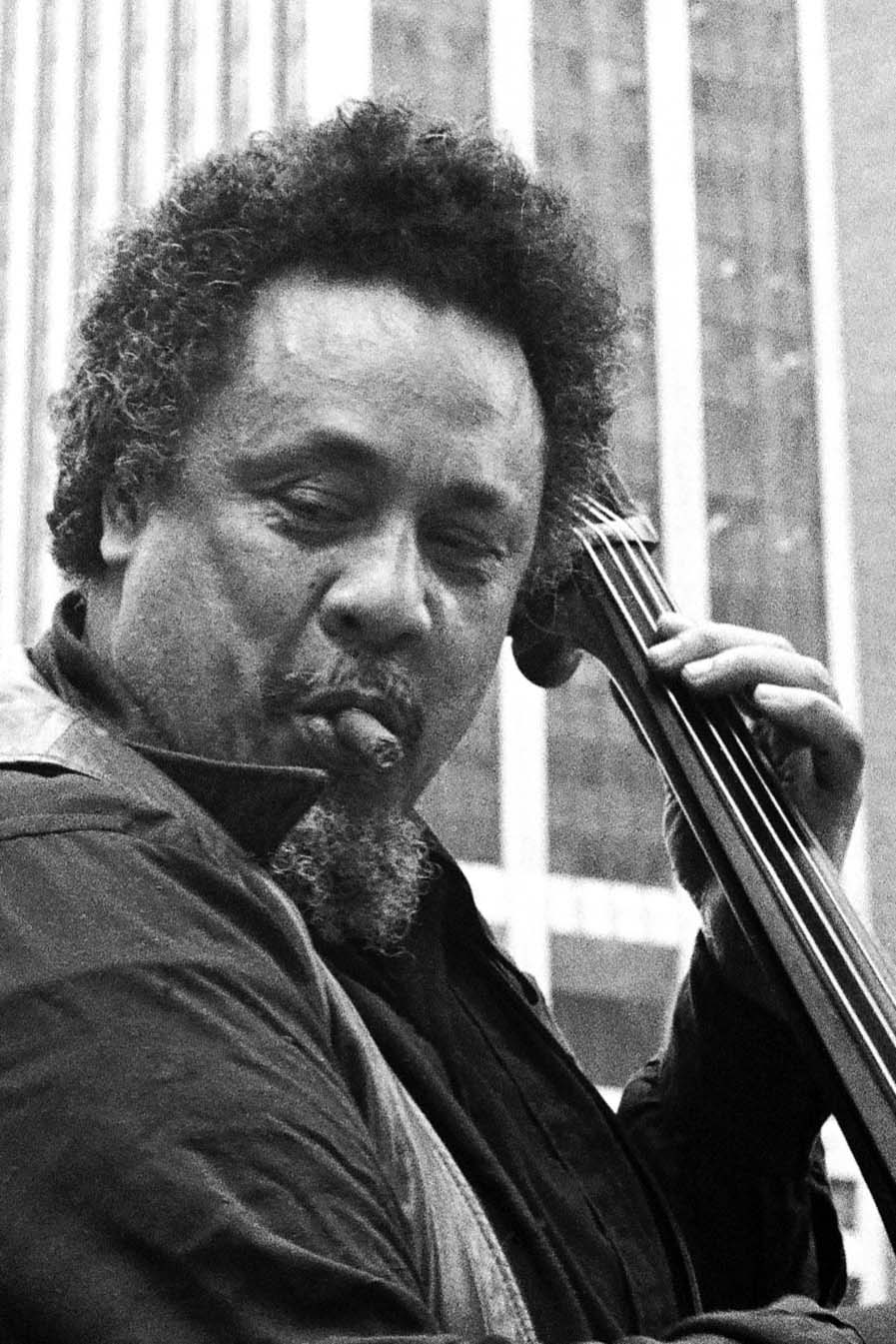 Charles_Mingus_1976|mingus_charles Charles Mingus
