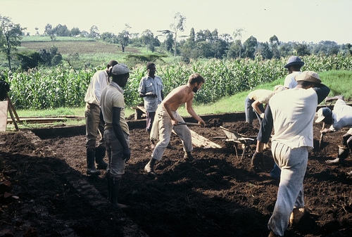 Operation_Crossroads_Africa|Operation_Crossroads_Africa |