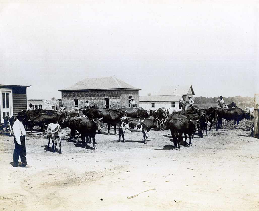 taft oklahoma|William_Henry_Twine__ca__1902 |
