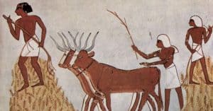 Ancient Egyptian Agriculture (World History Encyclopedia)