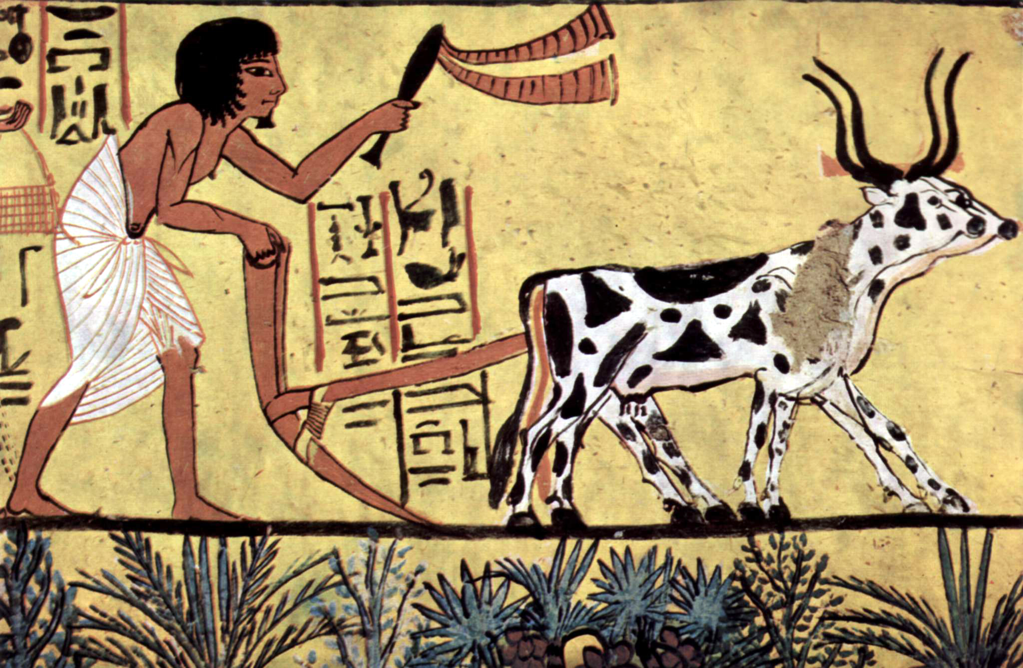 Ancient Egyptian Farmer (Wikipedia) Ancient Egyptian Farmer (Wikipedia)