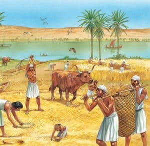 Farming in Ancient Egypt