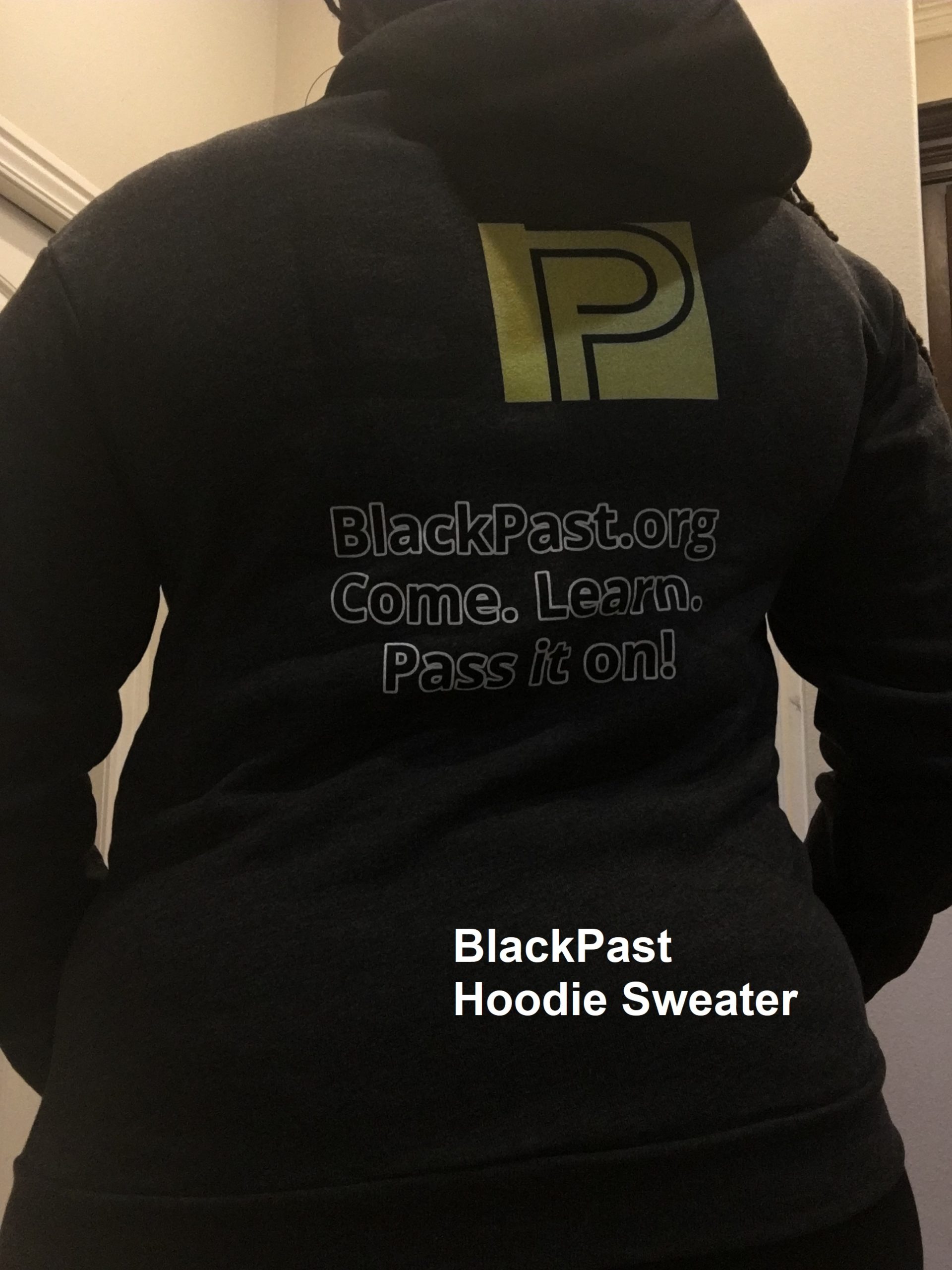Hoodie Sweater (Back)