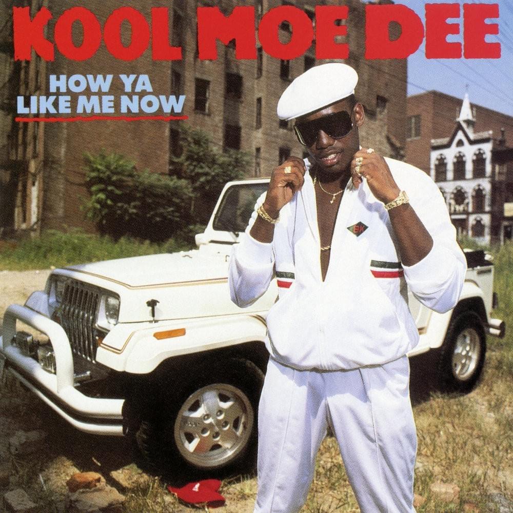 Kool Moe Dee Album Cover