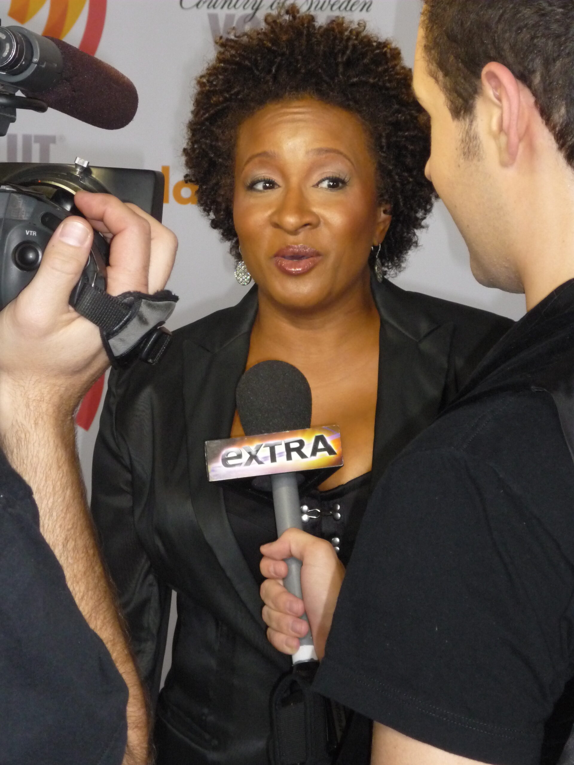 Wanda Sykes (1964- image picture